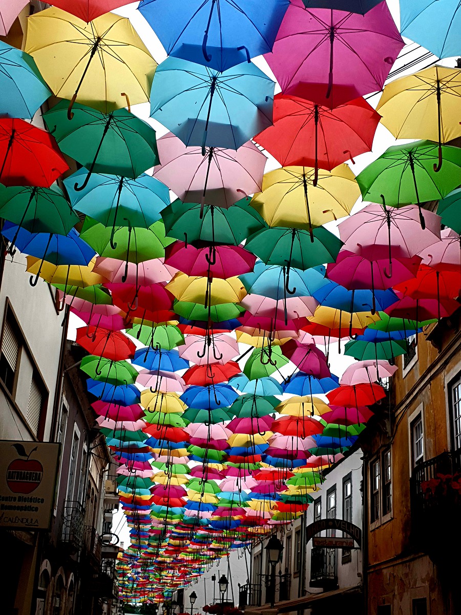 20190713_163019 chapelada.jpg 20190713_163019 chapelada.jpg